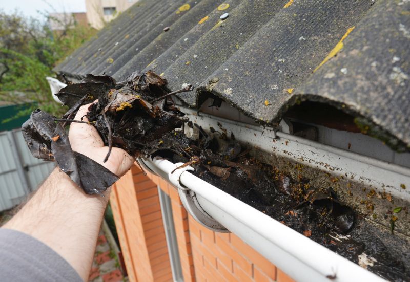 Gutter Blockage Removal