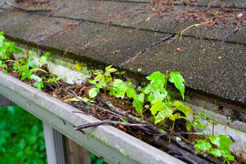Clogged Gutter Blockage