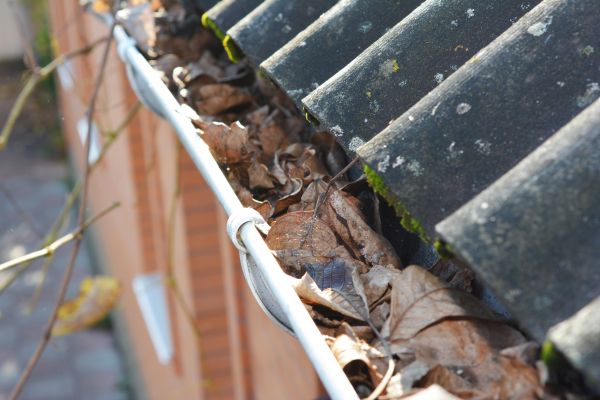 Home Gutter Cleaning in Greensboro