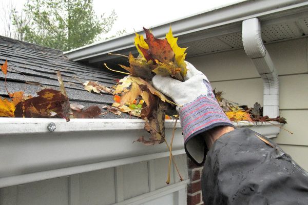 Cost of Gutter Leaf Clearing in Greensboro