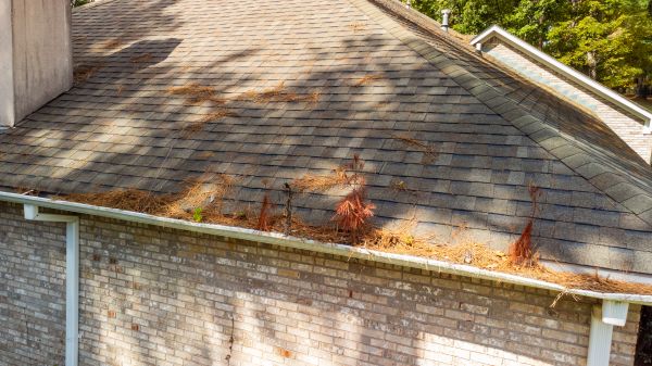 Cost of Gutter Pine Needle Removal in Greensboro