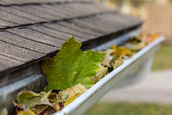 Cost of Gutter Leaves Removal in Greensboro